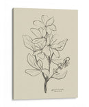 Floral 1 - Dan Hobday | Cuadro decorativo de Canvas Lab