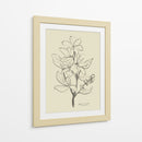Floral 1 - Dan Hobday | Cuadro decorativo de Canvas Lab
