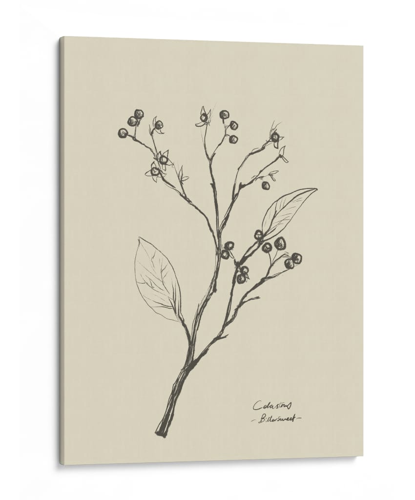 Floral 2 - Dan Hobday | Cuadro decorativo de Canvas Lab