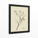 Floral 2 - Dan Hobday | Cuadro decorativo de Canvas Lab