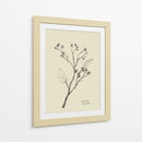 Floral 2 - Dan Hobday | Cuadro decorativo de Canvas Lab