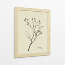 Floral 2 - Dan Hobday | Cuadro decorativo de Canvas Lab