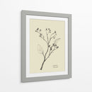 Floral 2 - Dan Hobday | Cuadro decorativo de Canvas Lab