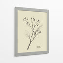 Floral 2 - Dan Hobday | Cuadro decorativo de Canvas Lab