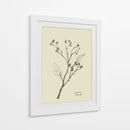 Floral 2 - Dan Hobday | Cuadro decorativo de Canvas Lab