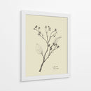 Floral 2 - Dan Hobday | Cuadro decorativo de Canvas Lab