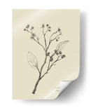 Floral 2 - Dan Hobday | Cuadro decorativo de Canvas Lab