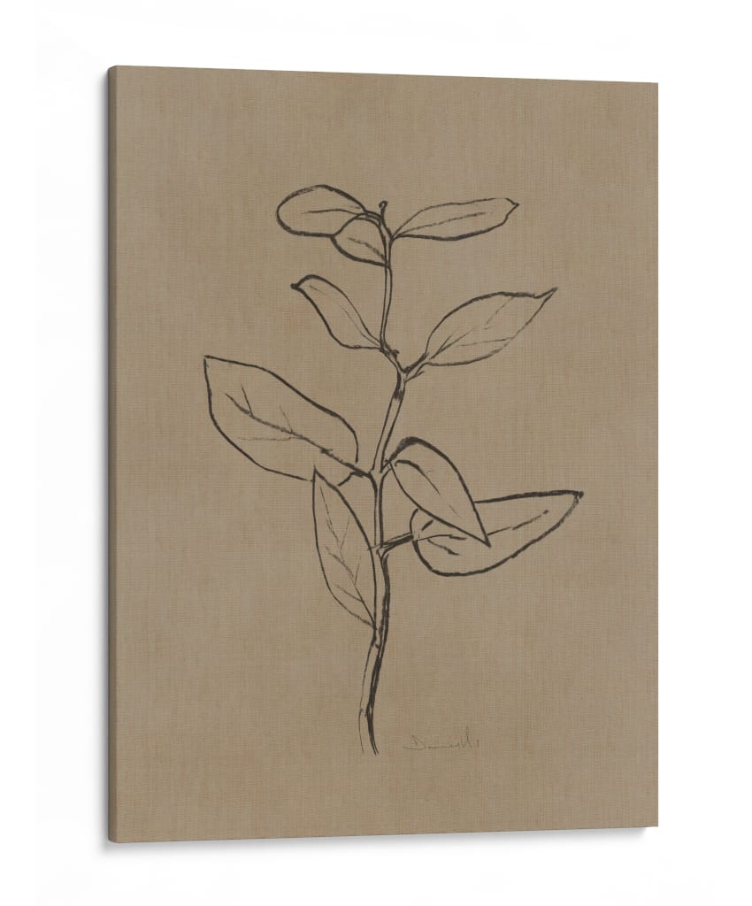 Plantín de eucalipto - Dan Hobday | Cuadro decorativo de Canvas Lab