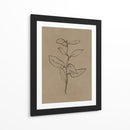 Plantín de eucalipto - Dan Hobday | Cuadro decorativo de Canvas Lab