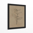 Plantín de eucalipto - Dan Hobday | Cuadro decorativo de Canvas Lab