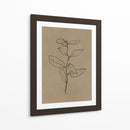 Plantín de eucalipto - Dan Hobday | Cuadro decorativo de Canvas Lab