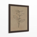 Plantín de eucalipto - Dan Hobday | Cuadro decorativo de Canvas Lab