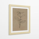 Plantín de eucalipto - Dan Hobday | Cuadro decorativo de Canvas Lab