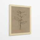 Plantín de eucalipto - Dan Hobday | Cuadro decorativo de Canvas Lab