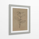 Plantín de eucalipto - Dan Hobday | Cuadro decorativo de Canvas Lab
