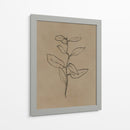 Plantín de eucalipto - Dan Hobday | Cuadro decorativo de Canvas Lab