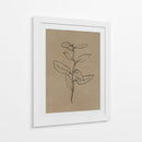 Plantín de eucalipto - Dan Hobday | Cuadro decorativo de Canvas Lab