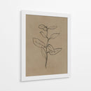 Plantín de eucalipto - Dan Hobday | Cuadro decorativo de Canvas Lab