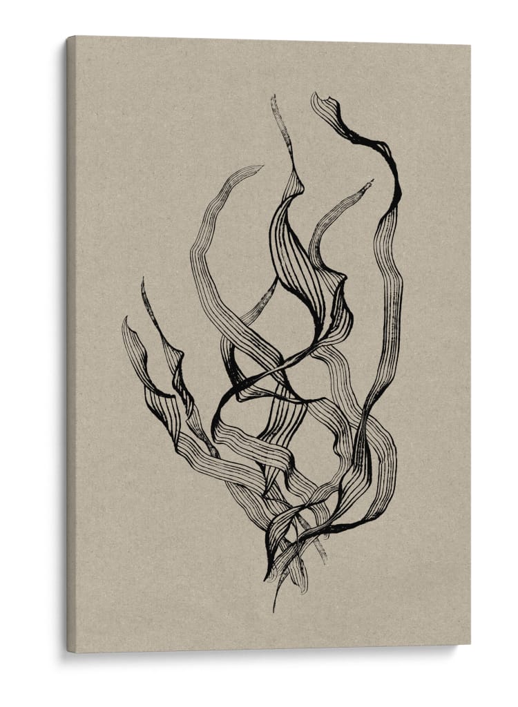 Delicadeza - Dan Hobday | Cuadro decorativo de Canvas Lab