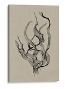 Delicadeza - Dan Hobday | Cuadro decorativo de Canvas Lab