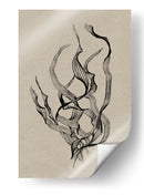 Delicadeza - Dan Hobday | Cuadro decorativo de Canvas Lab