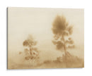 Pradera brumosa - Dan Hobday | Cuadro decorativo de Canvas Lab