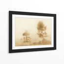 Pradera brumosa - Dan Hobday | Cuadro decorativo de Canvas Lab