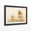 Pradera brumosa - Dan Hobday | Cuadro decorativo de Canvas Lab