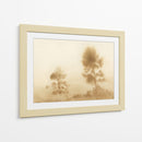 Pradera brumosa - Dan Hobday | Cuadro decorativo de Canvas Lab