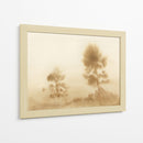 Pradera brumosa - Dan Hobday | Cuadro decorativo de Canvas Lab