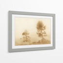 Pradera brumosa - Dan Hobday | Cuadro decorativo de Canvas Lab