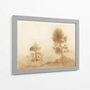 Pradera brumosa - Dan Hobday | Cuadro decorativo de Canvas Lab