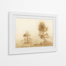 Pradera brumosa - Dan Hobday | Cuadro decorativo de Canvas Lab