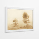 Pradera brumosa - Dan Hobday | Cuadro decorativo de Canvas Lab