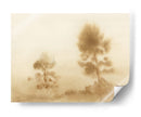 Pradera brumosa - Dan Hobday | Cuadro decorativo de Canvas Lab