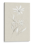 Flor de granja - Dan Hobday | Cuadro decorativo de Canvas Lab