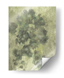 Flores brumosas 2 - Dan Hobday | Cuadro decorativo de Canvas Lab