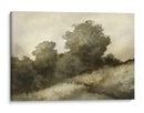 Devon Hill - Dan Hobday | Cuadro decorativo de Canvas Lab