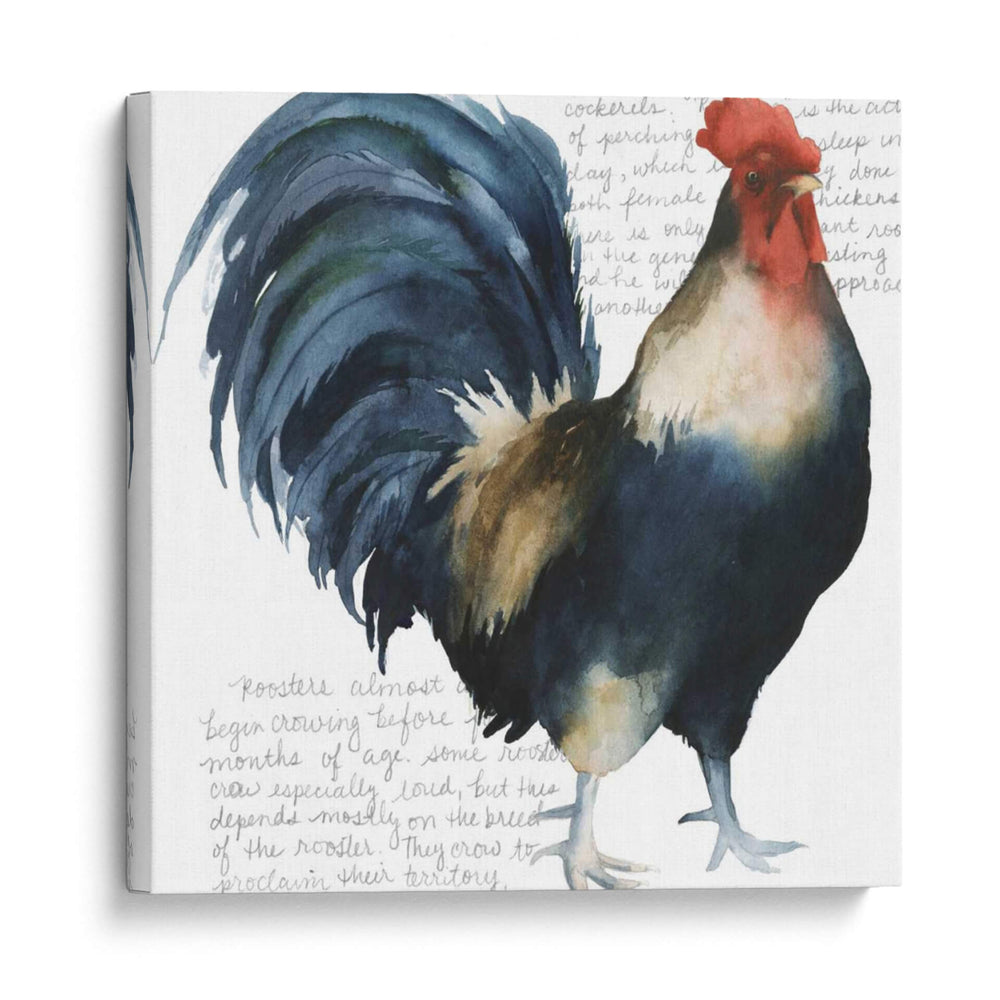 Gallo Cuervo Yo - Grace Popp | Cuadro decorativo de Canvas Lab