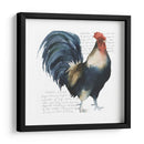 Gallo Cuervo Yo - Grace Popp | Cuadro decorativo de Canvas Lab