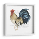 Gallo Cuervo Ii - Grace Popp | Cuadro decorativo de Canvas Lab