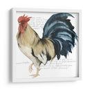 Gallo Cuervo Ii - Grace Popp | Cuadro decorativo de Canvas Lab