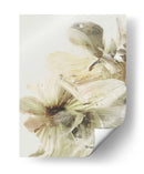 Flores de la colina 1 - Dan Hobday | Cuadro decorativo de Canvas Lab