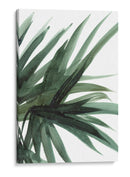 Frondoso - Dan Hobday | Cuadro decorativo de Canvas Lab