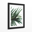 Frondoso - Dan Hobday | Cuadro decorativo de Canvas Lab