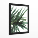 Frondoso - Dan Hobday | Cuadro decorativo de Canvas Lab