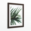 Frondoso - Dan Hobday | Cuadro decorativo de Canvas Lab