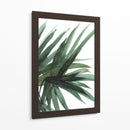Frondoso - Dan Hobday | Cuadro decorativo de Canvas Lab