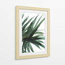 Frondoso - Dan Hobday | Cuadro decorativo de Canvas Lab