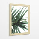 Frondoso - Dan Hobday | Cuadro decorativo de Canvas Lab